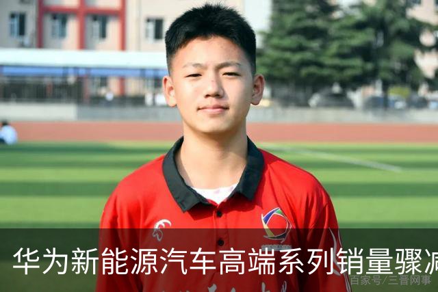华为新能源汽车高端系列销量骤减的深层原因分析